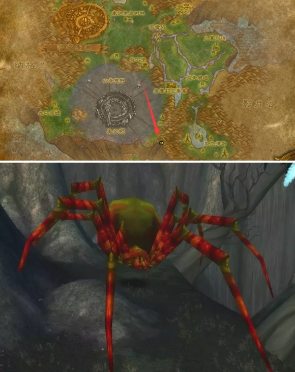 魔兽世界泰罗卡森林蜘蛛宝宝位置介绍1