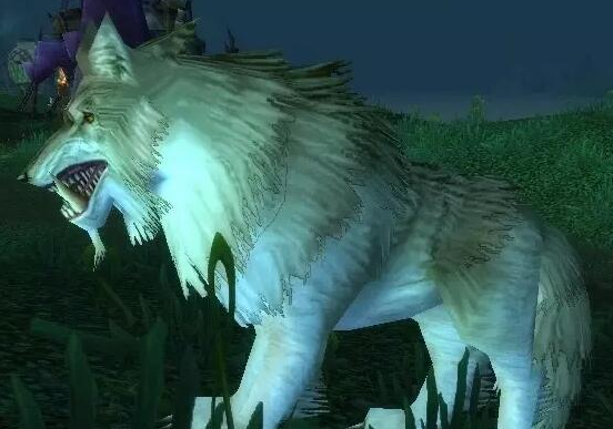 魔兽世界银松森林稀有狼位置介绍2 魔兽世界银松森林稀有狼位置介绍2