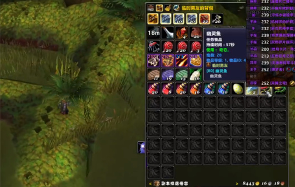 魔兽世界幽灵鱼钓取攻略3