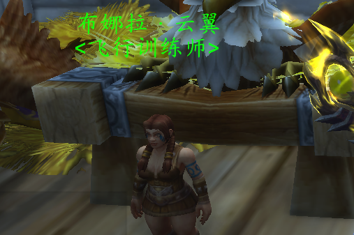 魔兽世界暴风城骑术训练师位置介绍5