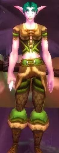 魔兽世界wlk达纳苏斯剥皮训练师位置分享2