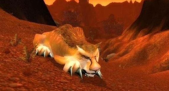 魔兽世界wlk猎人宝宝选择推荐1