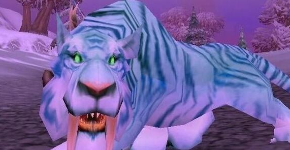 魔兽世界wlk猎人宝宝选择推荐2