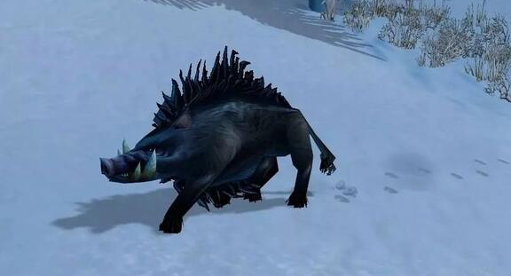 魔兽世界wlk猎人宝宝选择推荐4