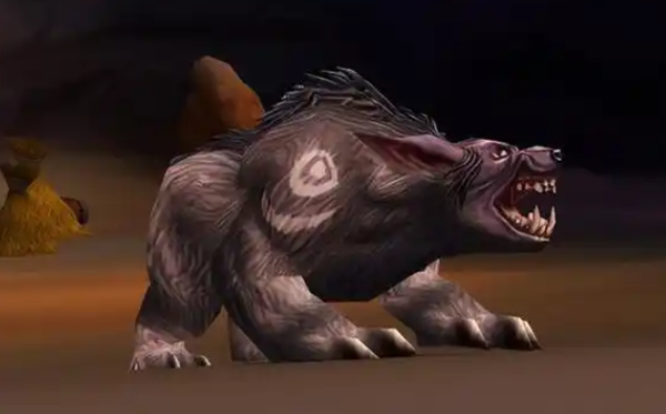 魔兽世界11.1熊德常用宏命令代码有哪些